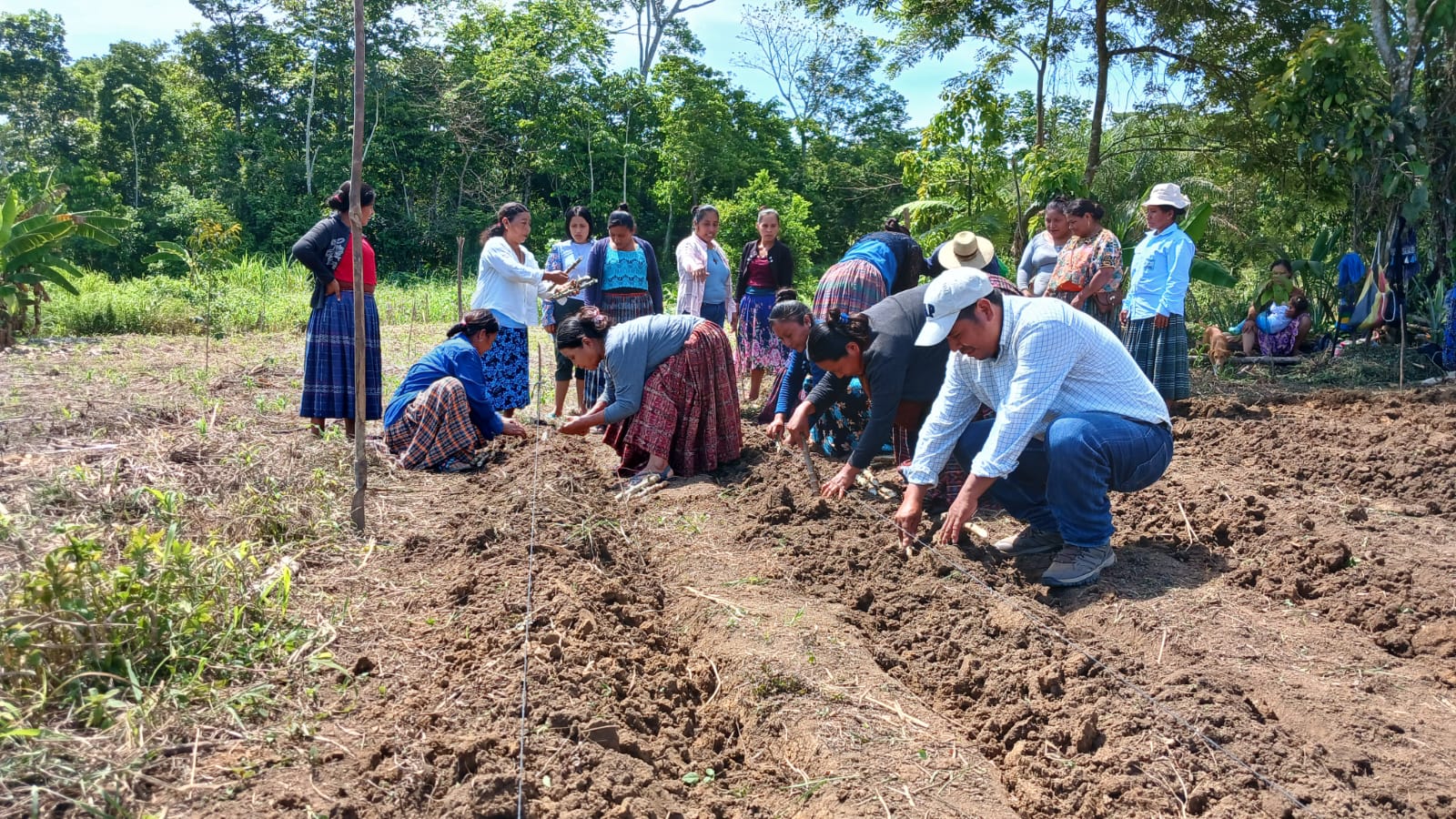 Tecnología agrícola